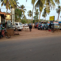 фото из отзыва ID 1731999