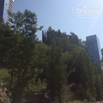 фото из отзыва ID 1732124