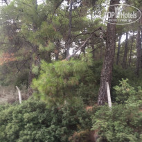 фото из отзыва ID 1732158