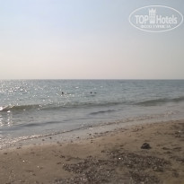 фото из отзыва ID 1732378