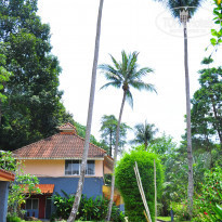 фото из отзыва ID 1732394