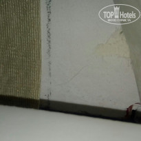 фото из отзыва ID 1732415