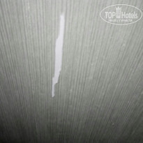 фото из отзыва ID 1732415