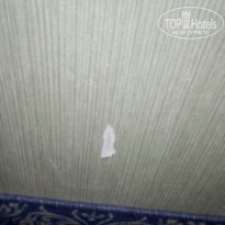 фото из отзыва ID 1732415