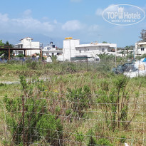 фото из отзыва ID 1732583