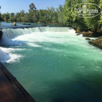 фото из отзыва ID 1732623