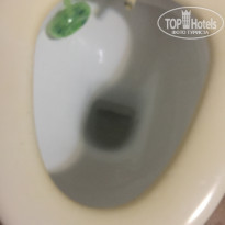 фото из отзыва ID 1732711