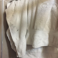 фото из отзыва ID 1732711