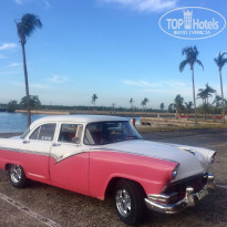 фото из отзыва ID 1732759