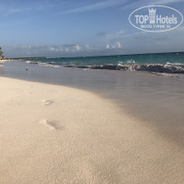 фото из отзыва ID 1732911