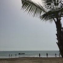 фото из отзыва ID 1732918