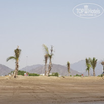 фото из отзыва ID 1732918