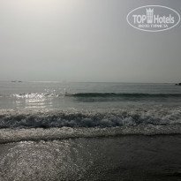 фото из отзыва ID 1732918