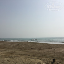 фото из отзыва ID 1732918