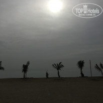 фото из отзыва ID 1732918