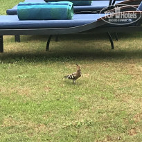 фото из отзыва ID 1732974