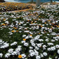 фото из отзыва ID 1733107