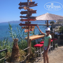 фото из отзыва ID 1733083