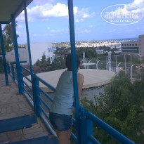 фото из отзыва ID 1733083