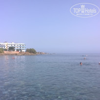 фото из отзыва ID 1733083