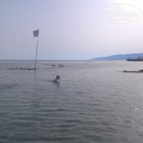 фото из отзыва ID 1733083