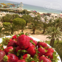 фото из отзыва ID 1733374