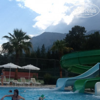 фото из отзыва ID 1733379