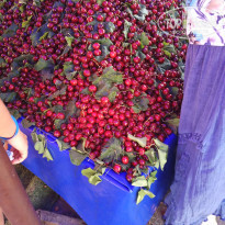 фото из отзыва ID 1733397