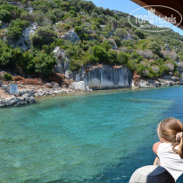 фото из отзыва ID 1733397