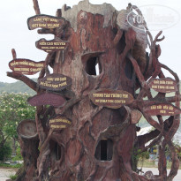 фото из отзыва ID 1733127