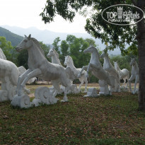 фото из отзыва ID 1733127