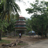 фото из отзыва ID 1733127