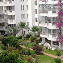 фото из отзыва ID 1733462