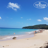 фото из отзыва ID 1733584