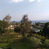 фото из отзыва ID 1733599