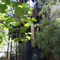 фото из отзыва ID 1733601