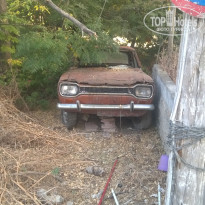 фото из отзыва ID 1733083