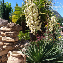 фото из отзыва ID 1733635