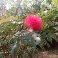 фото из отзыва ID 1733772