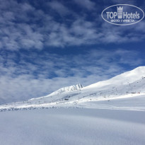 фото из отзыва ID 1733778