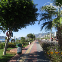 фото из отзыва ID 1733776