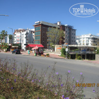 фото из отзыва ID 1733776