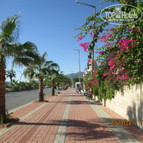 фото из отзыва ID 1733776