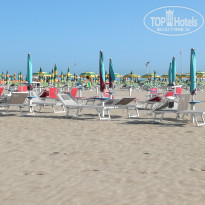 фото из отзыва ID 1733844