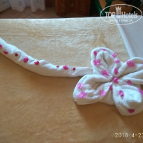 фото из отзыва ID 1733960