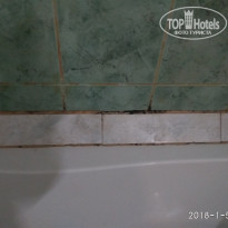 фото из отзыва ID 1734235