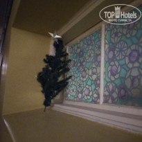 фото из отзыва ID 1734235