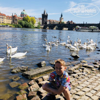 фото из отзыва ID 1734441