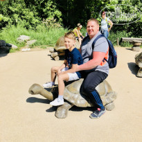 фото из отзыва ID 1734441