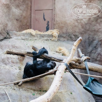 фото из отзыва ID 1734441